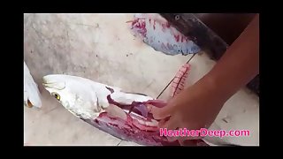 Another day out fishing with asian thai teen heather deep and get blowjob