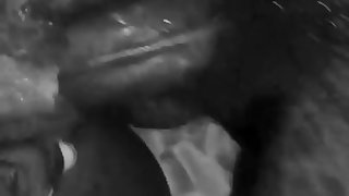 Young Black Cunt Drilled