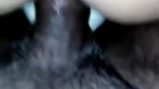 Indian Aunty doggy style and Blowjob Fucked