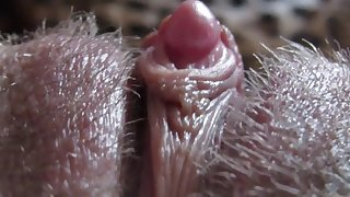 big clit hiding in the hairy bush