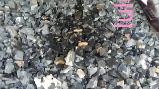 软萌萝莉小仙全集01-jk製服 白过膝袜