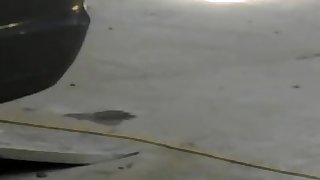 Auto body shop swagger sexy sex papis all over the place mmm mix blacklatin