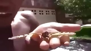 Big Black nigga eats butterfly pussy