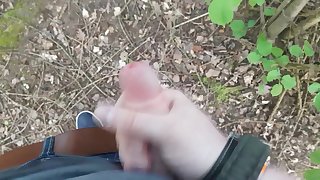Wank in the public woods