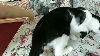 Mia Synaeva ножки в сливках1