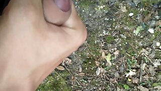 Petite masturbation dans la nature