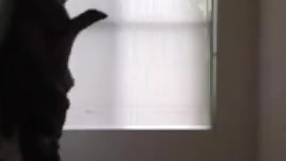 REUPLOAD: Rachel Gets her petite pussy DESTROYED