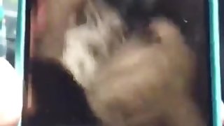 สาวไทย Miss