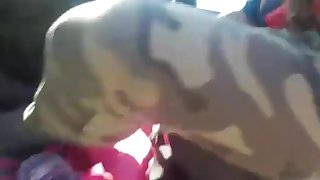 cogida en la via publica