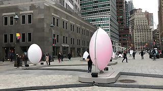 New York city 123455