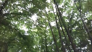 Am Waldrand selber gemacht