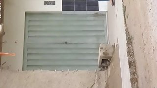 Mi vecina apretadita!