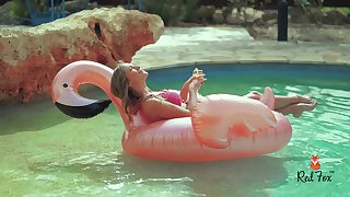 Flamingo (theredfoxlife.com)