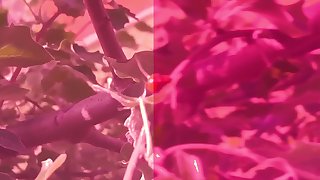 MIRACULOUS LADYBUG BIG ASS GOT FUCKED