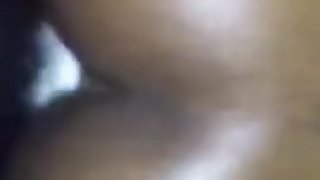 creamy pussy at its best