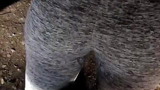 Admiring her ass in the forest