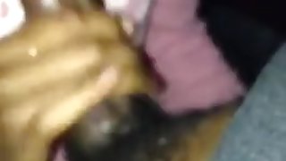 Wack Head from a Vet.